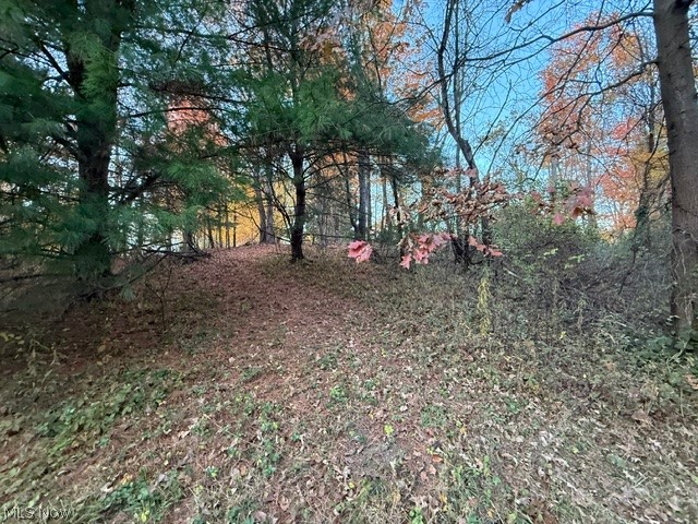 St Route 43 Mogadore OH 44260