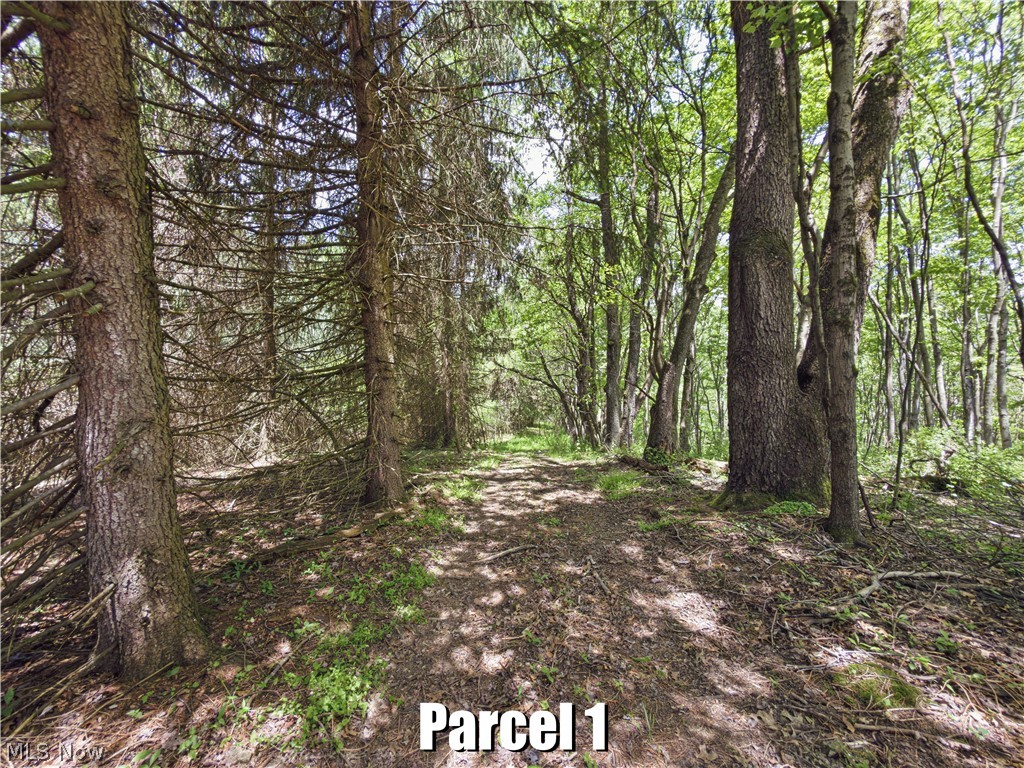 7220 Avon Road NE Carrollton OH 44615