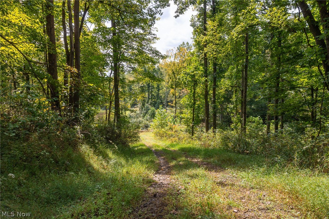27339 Tabor Ridge Road Caldwell OH 43724