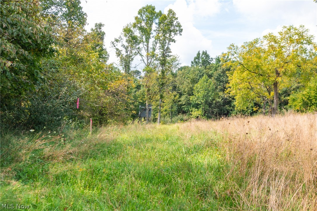 27339 Tabor Ridge Road Caldwell OH 43724