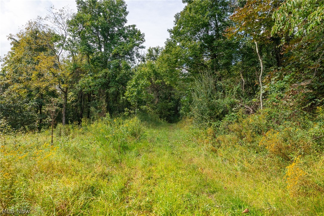 27339 Tabor Ridge Road Caldwell OH 43724