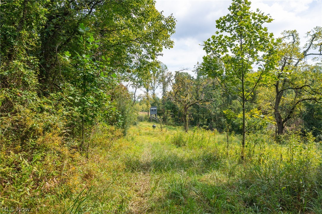 27339 Tabor Ridge Road Caldwell OH 43724