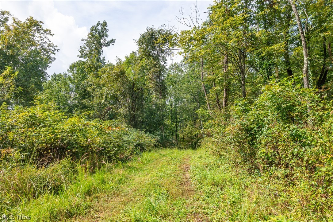 27339 Tabor Ridge Road Caldwell OH 43724
