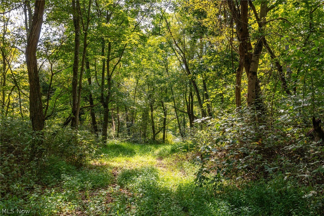 27339 Tabor Ridge Road Caldwell OH 43724