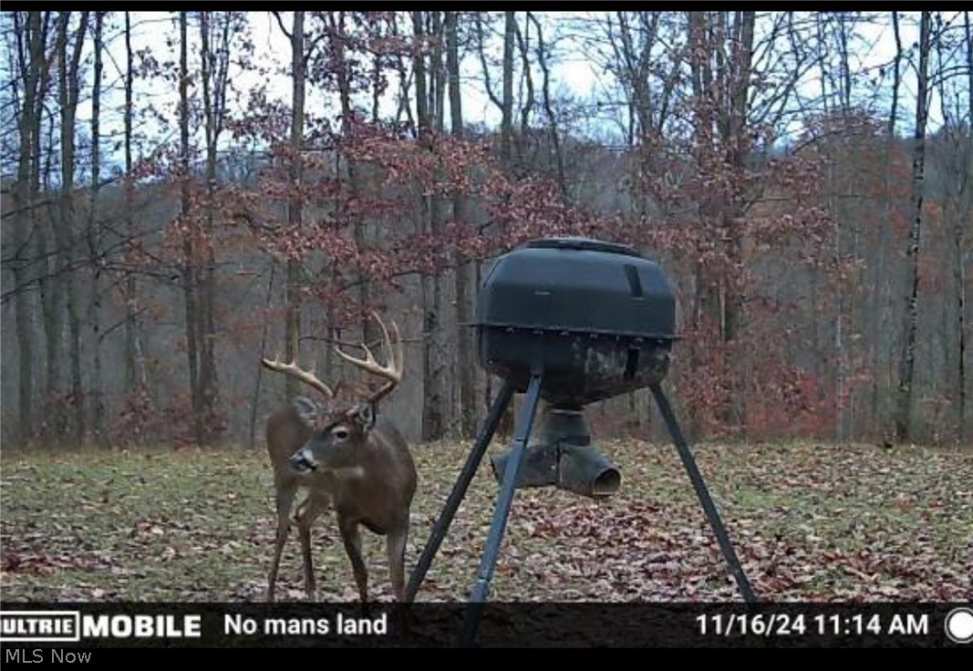 27339 Tabor Ridge Road Caldwell OH 43724