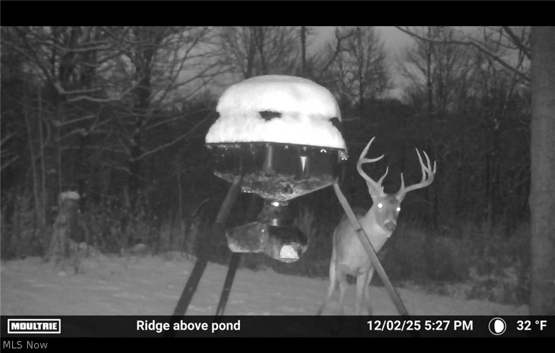 27339 Tabor Ridge Road Caldwell OH 43724