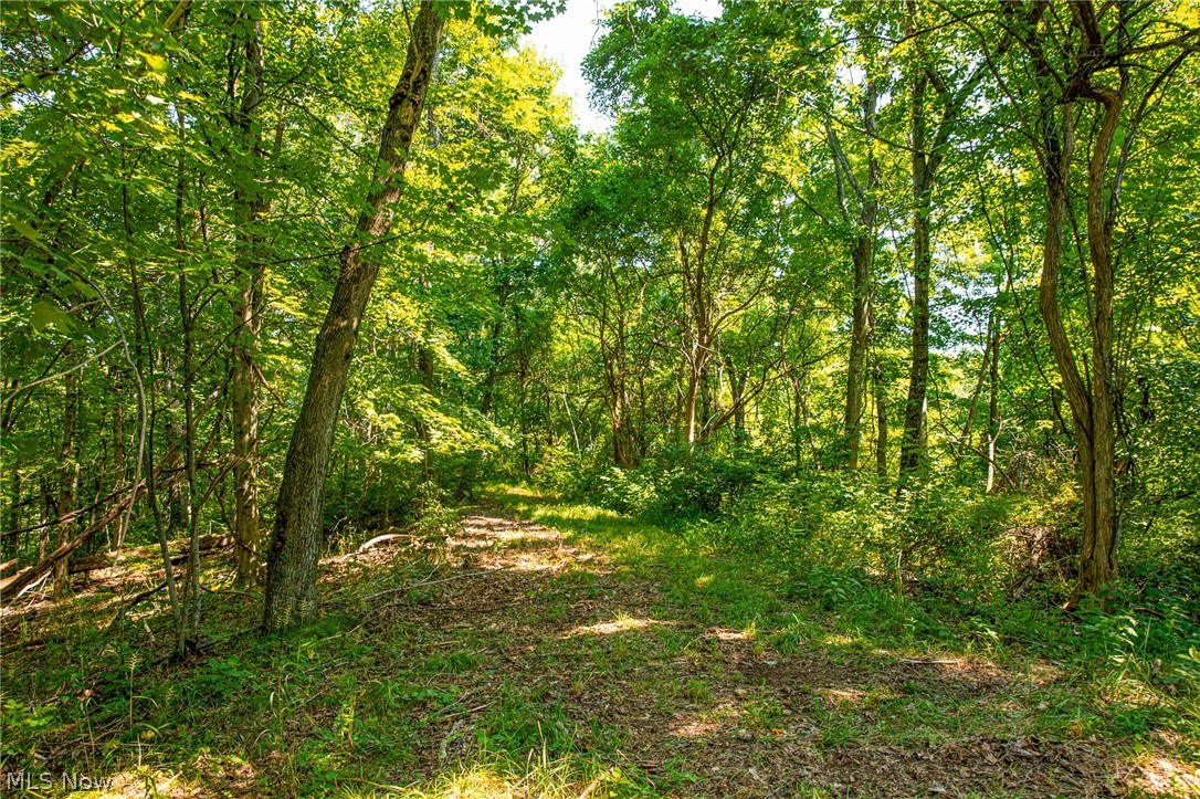 27339 Tabor Ridge Road Caldwell OH 43724