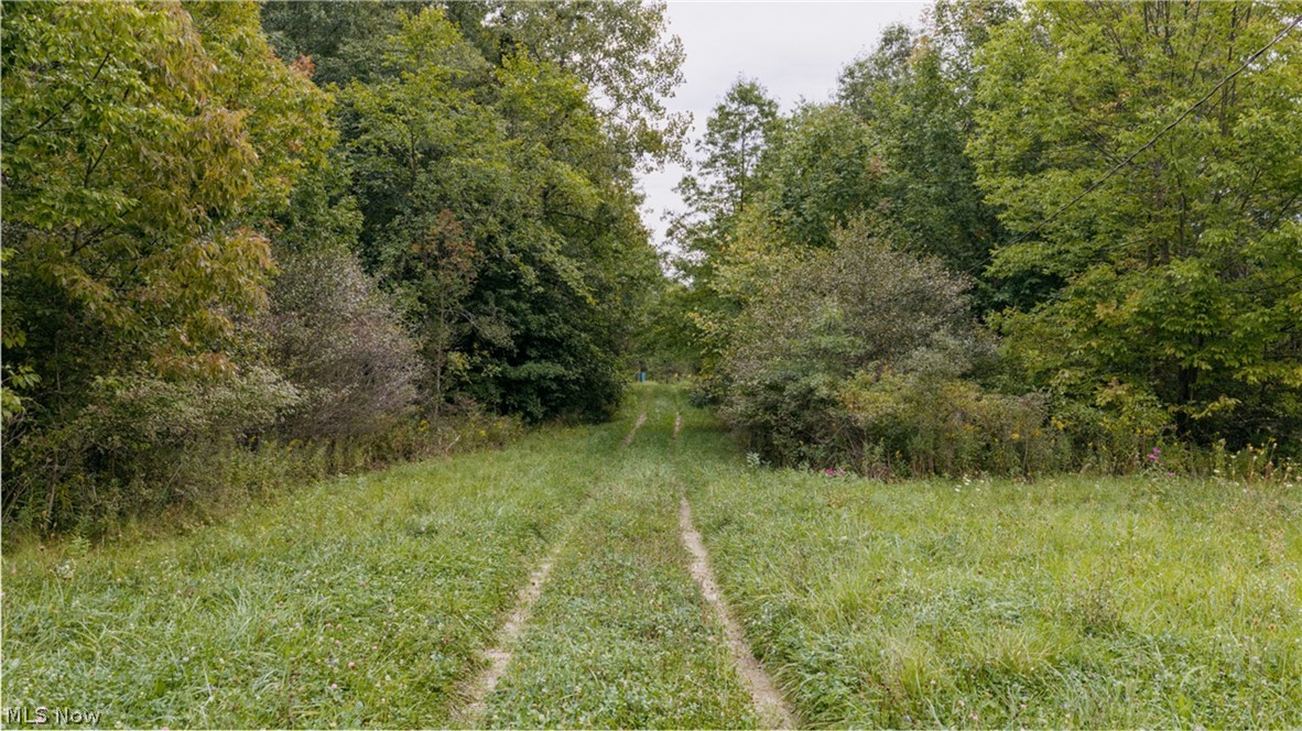 3777 Wayland Road Diamond OH 44412