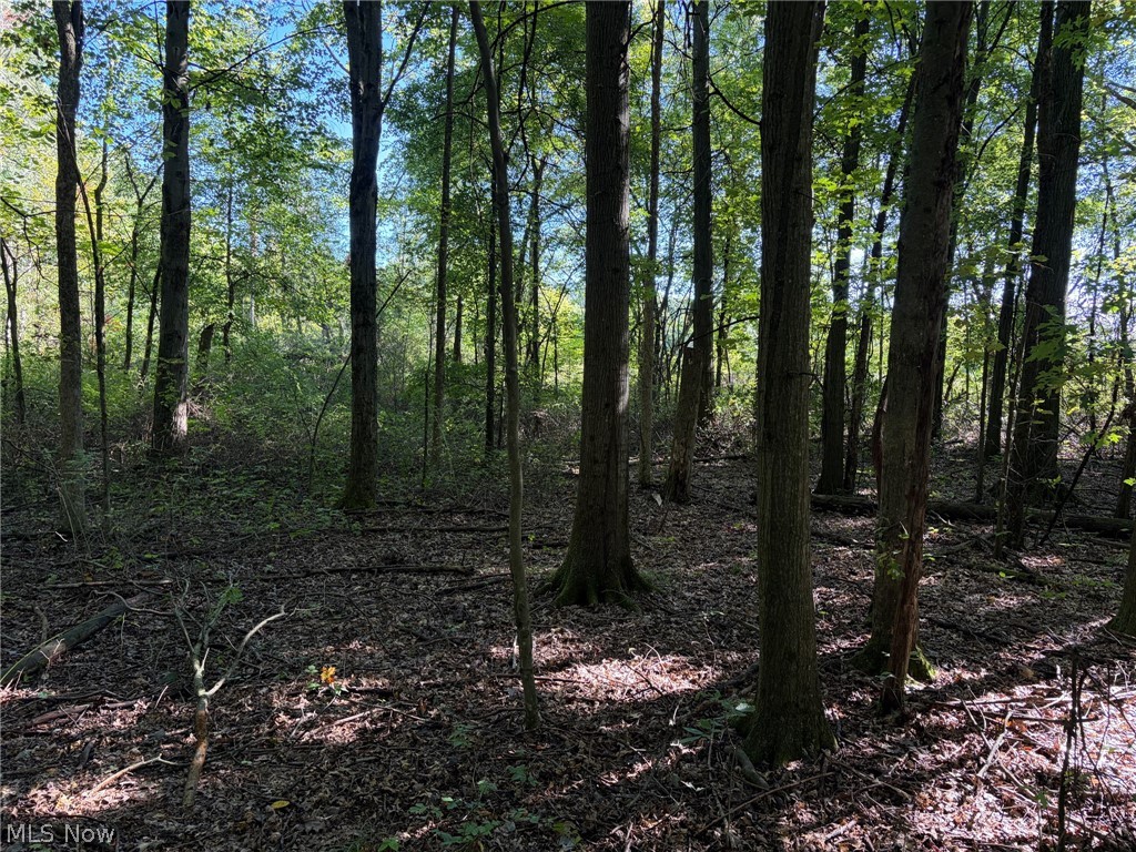 3777 Wayland Road Diamond OH 44412