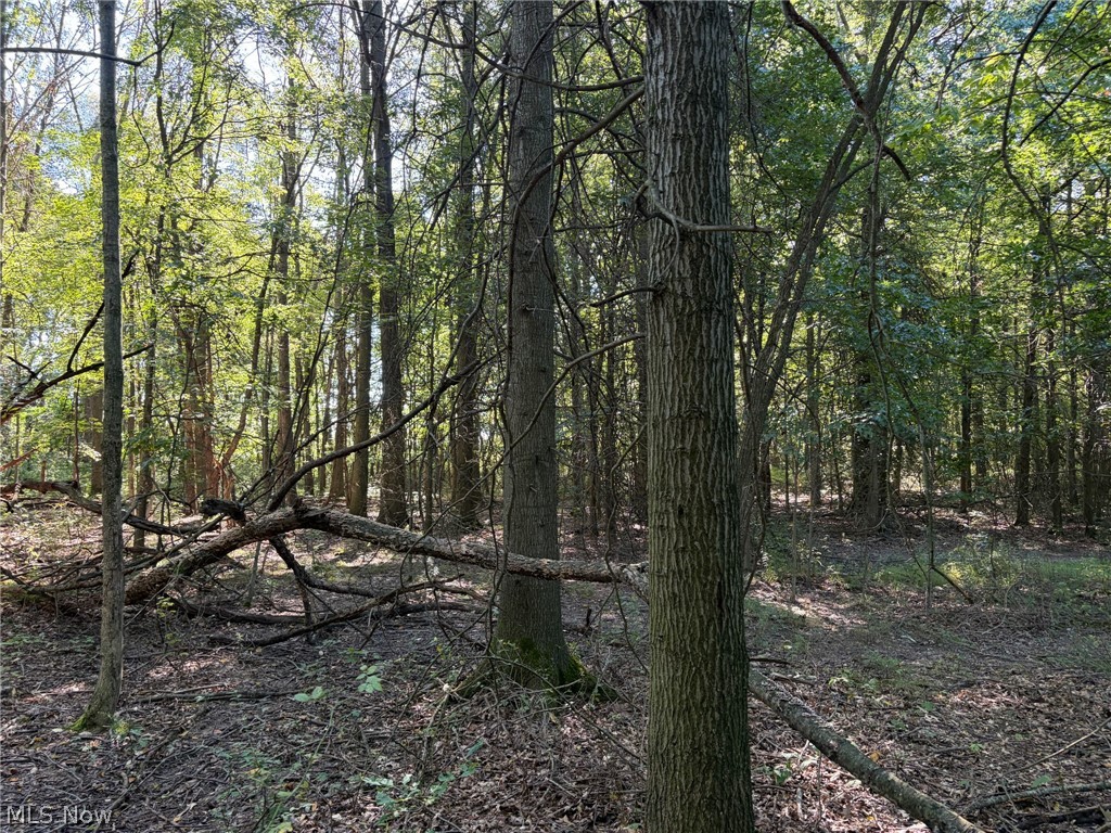 3777 Wayland Road Diamond OH 44412