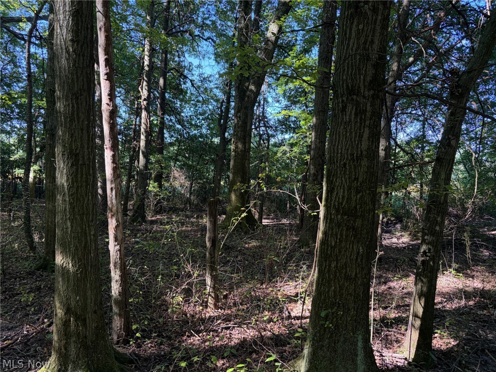 3777 Wayland Road Diamond OH 44412