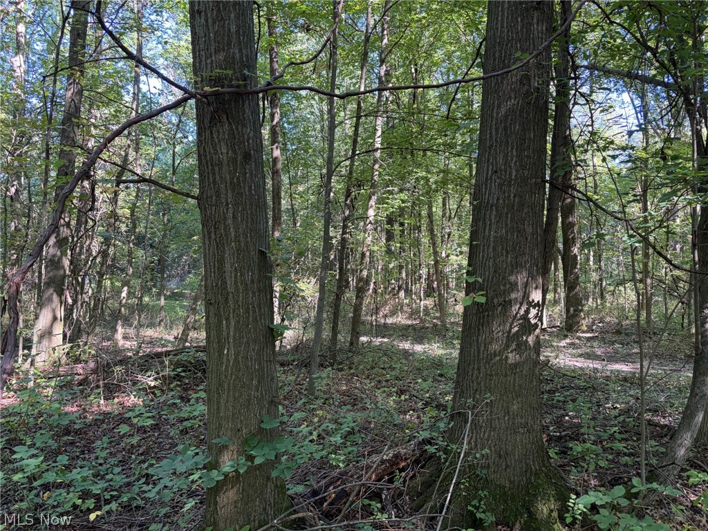 3777 Wayland Road Diamond OH 44412