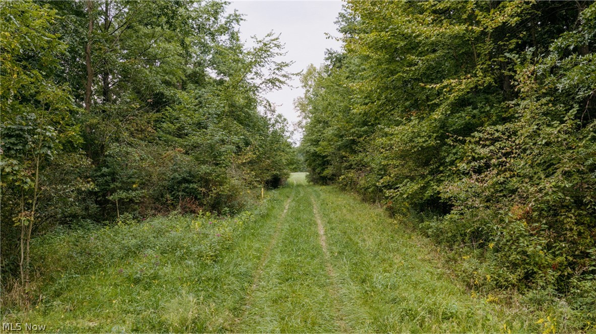 3777 Wayland Road Diamond OH 44412