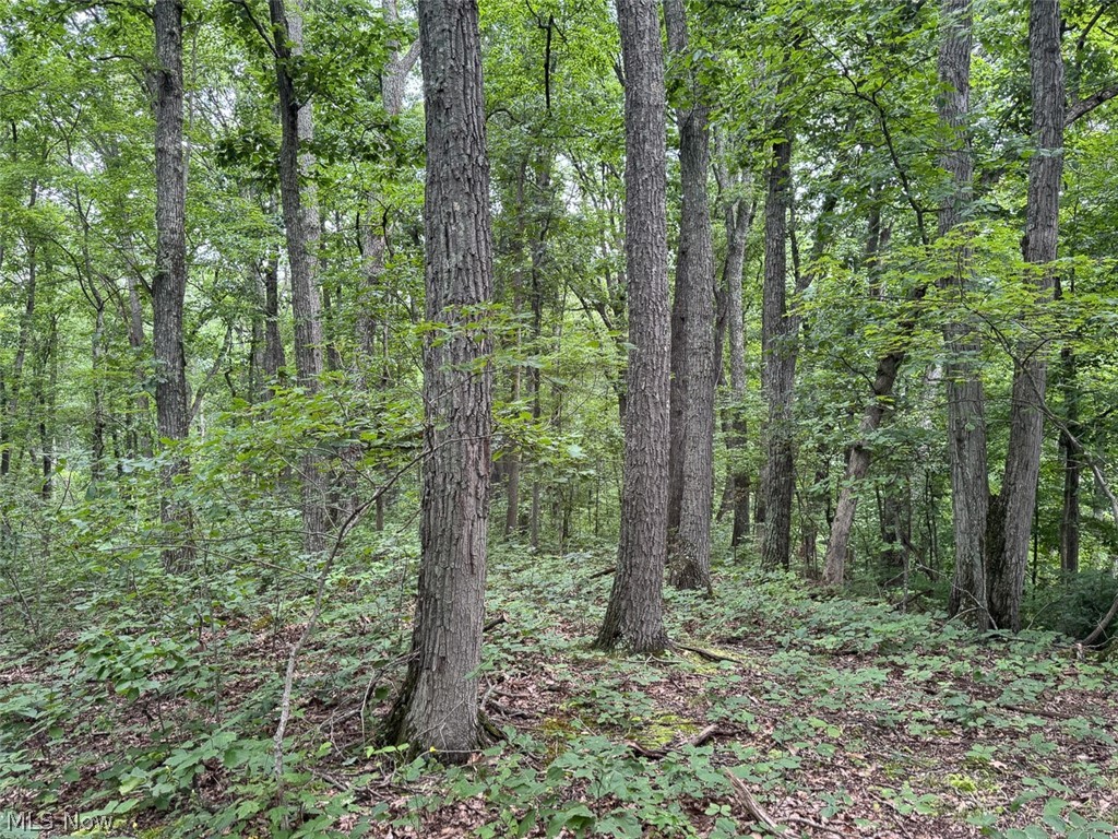 Township Road 291 Corning OH 43730