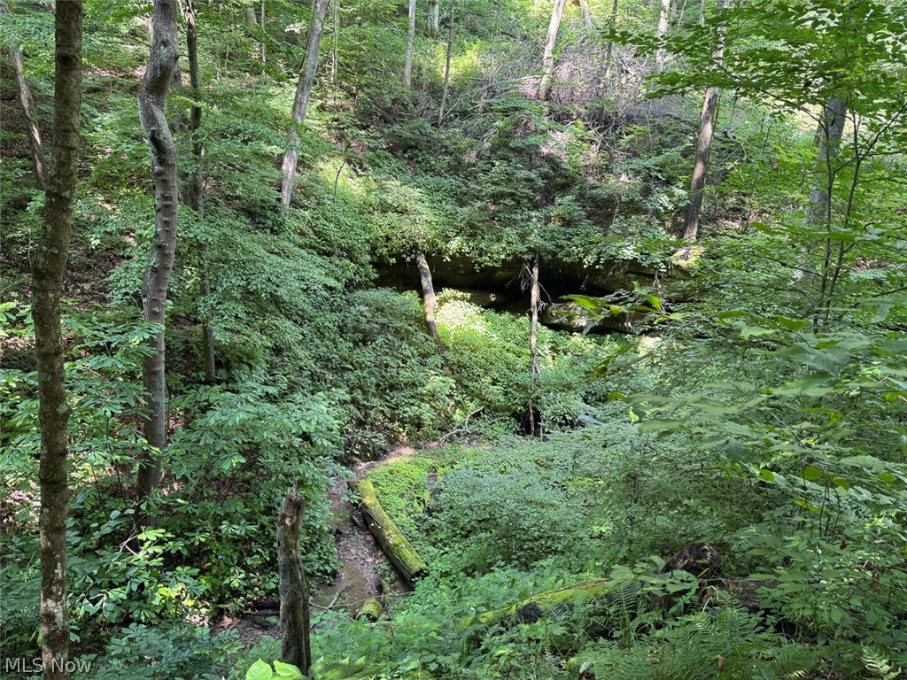 Township Road 291 Corning OH 43730