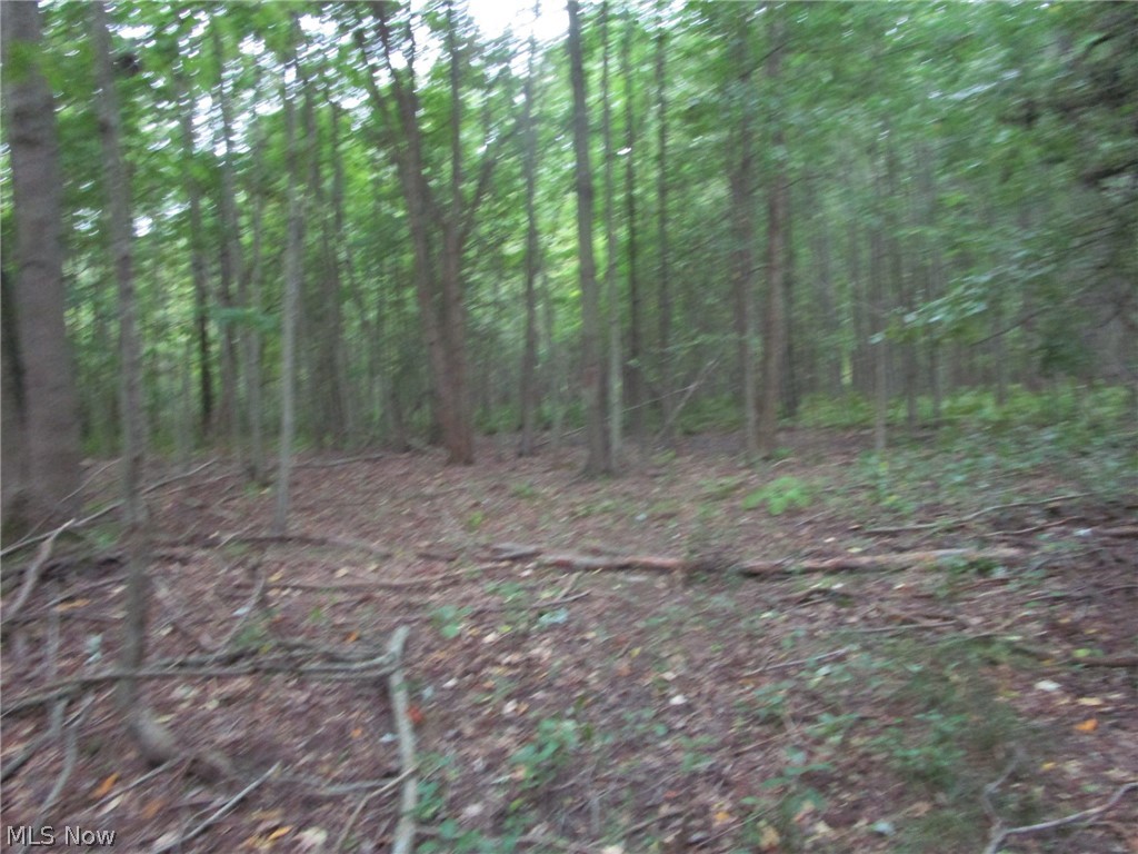 1 Countyline Road Madison OH 44057