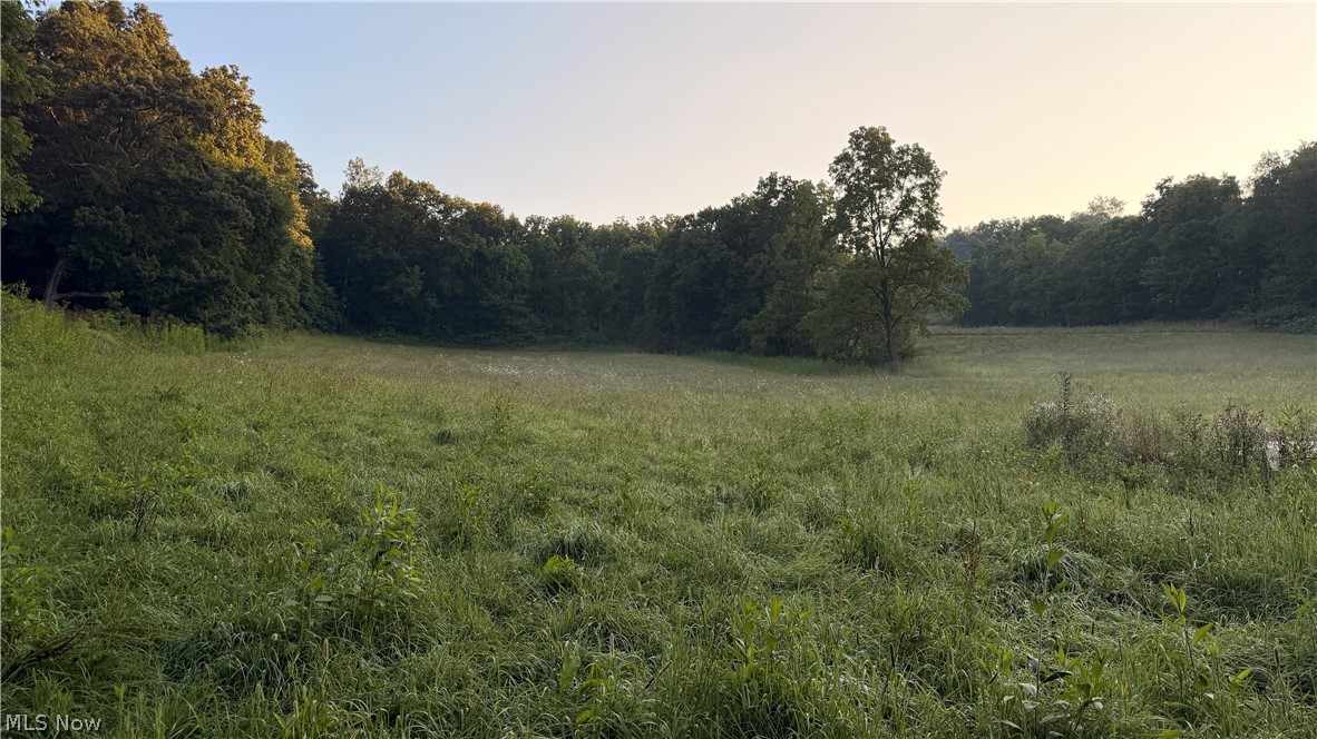 Co. Road 2575 Loudonville OH 44842