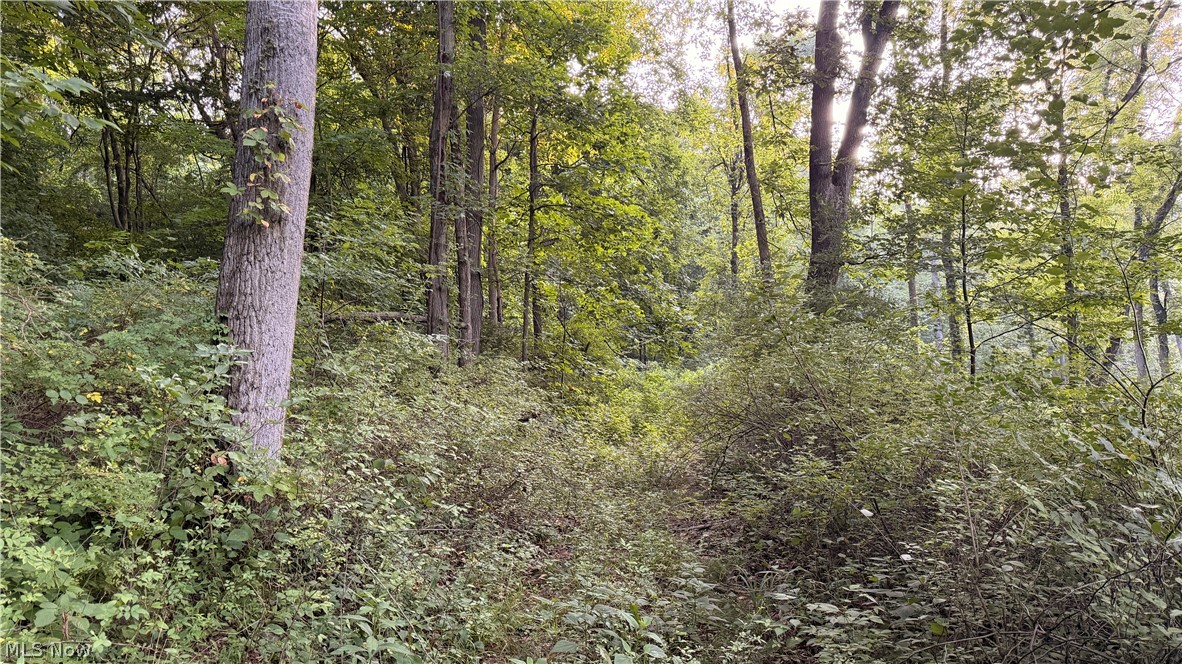 Co. Road 2575 Loudonville OH 44842