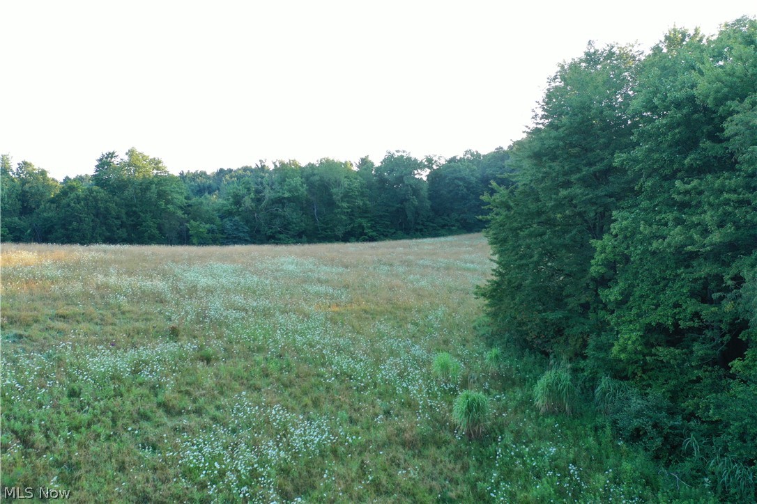 Co. Road 2575 Loudonville OH 44842