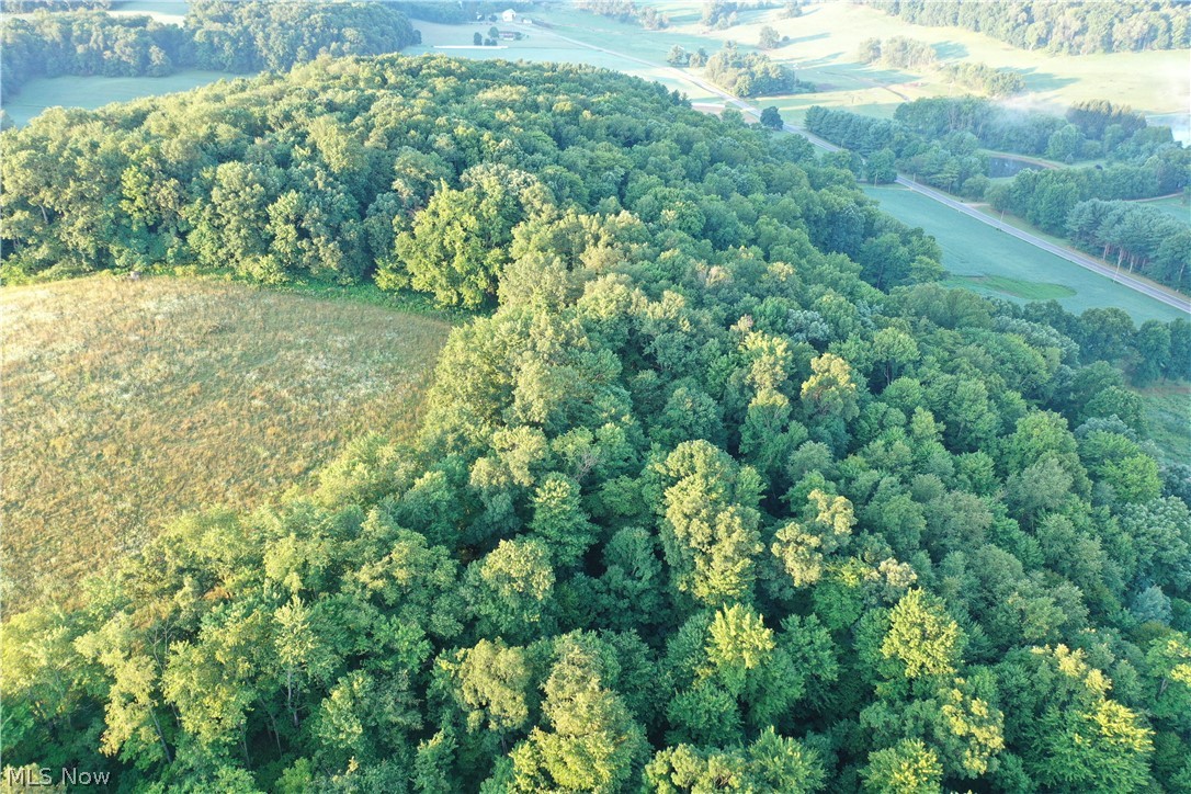 Co. Road 2575 Loudonville OH 44842