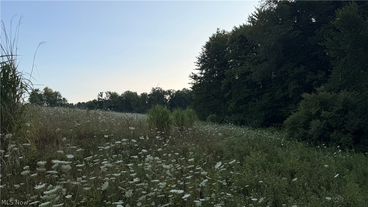 Co. Road 2575 Loudonville OH 44842