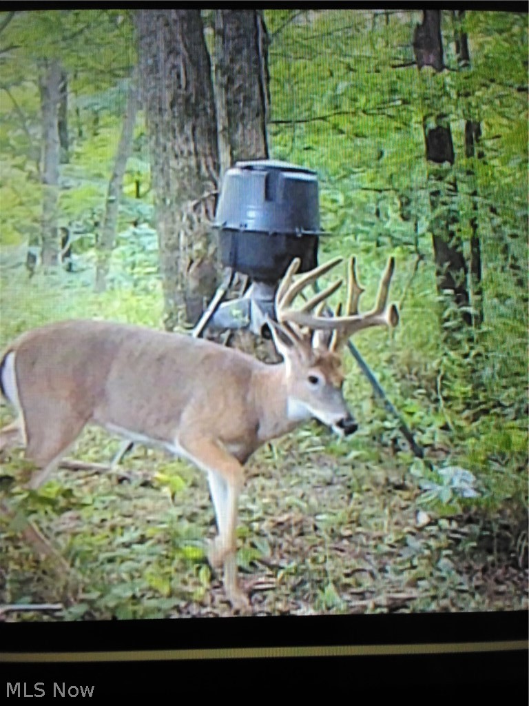 Co. Road 2575 Loudonville OH 44842