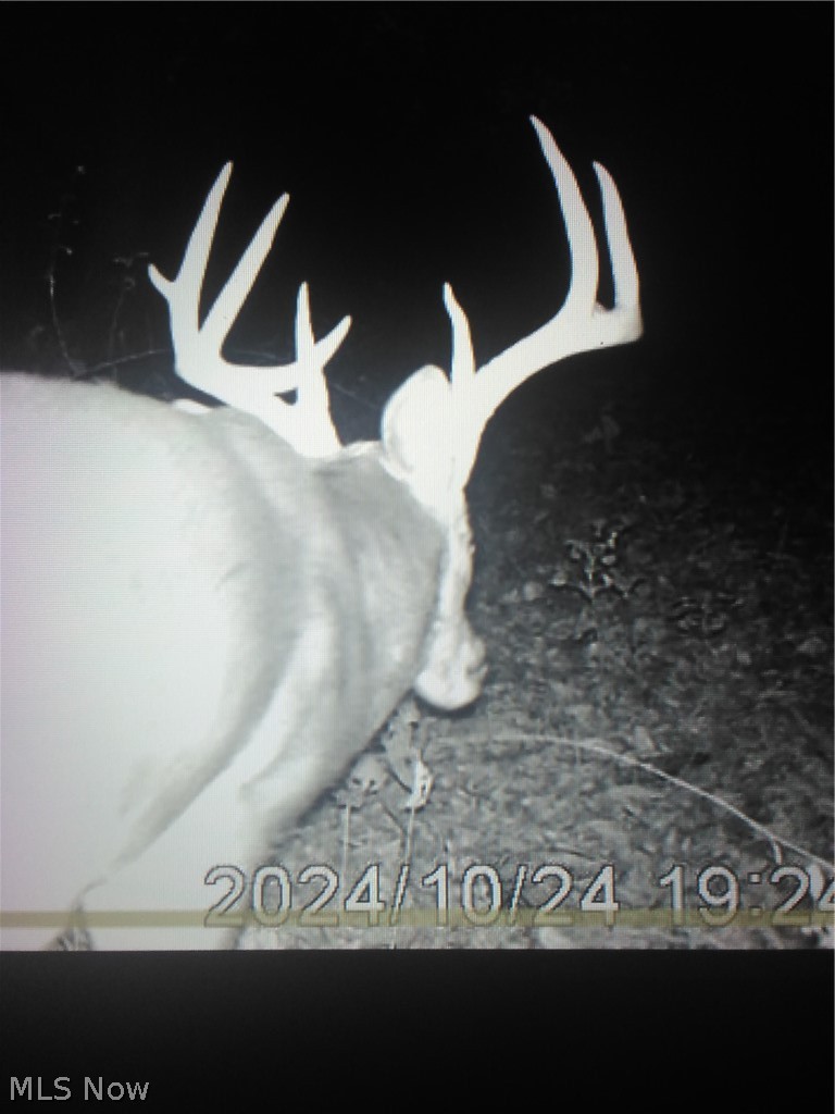 Co. Road 2575 Loudonville OH 44842
