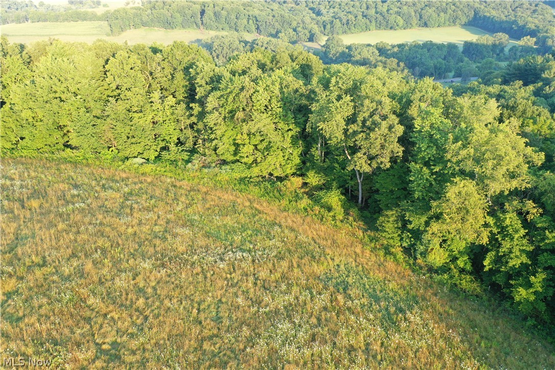 Co. Road 2575 Loudonville OH 44842