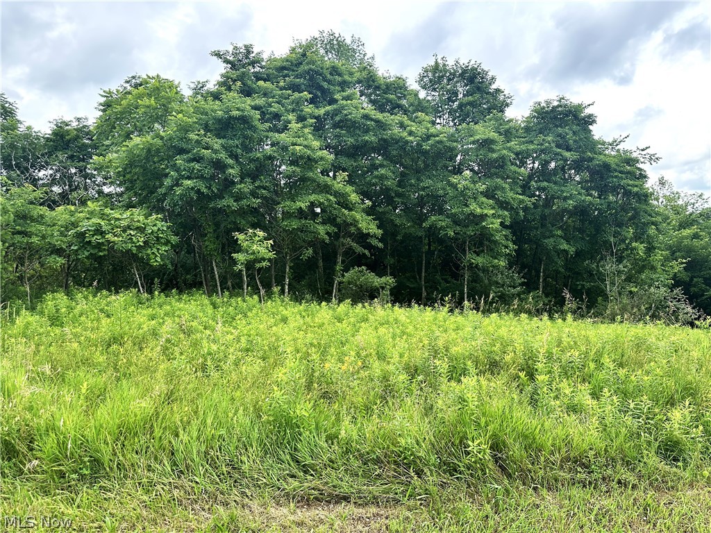V/l Dogwood & Poplar Drive SW Carrollton OH 44615