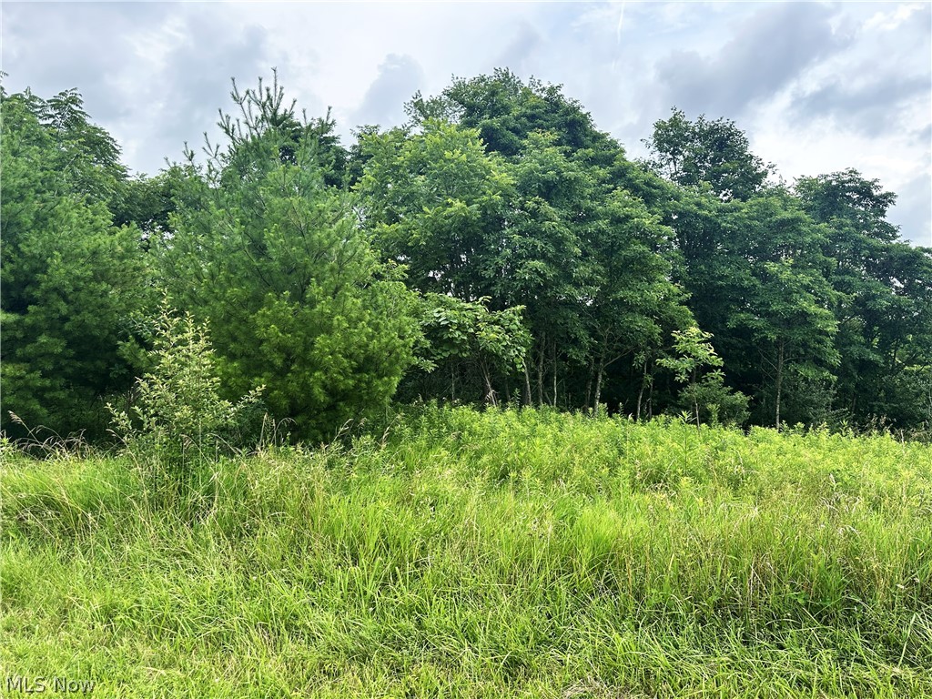 V/l Dogwood & Poplar Drive SW Carrollton OH 44615