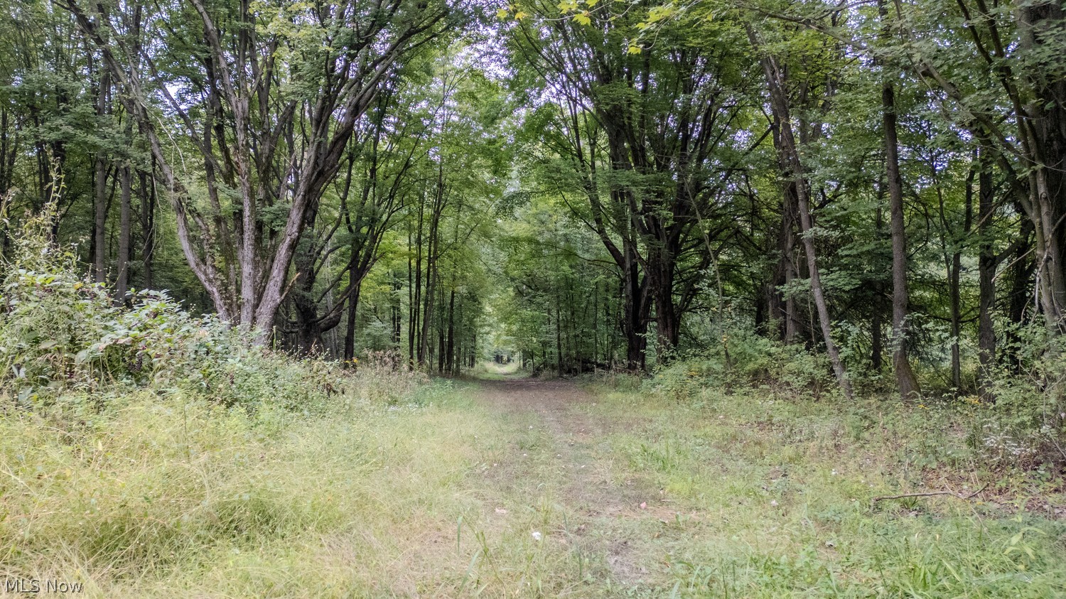 Vl 11.66 Acres Laubert Rd Lot 20lot 20 Atwater OH 44201
