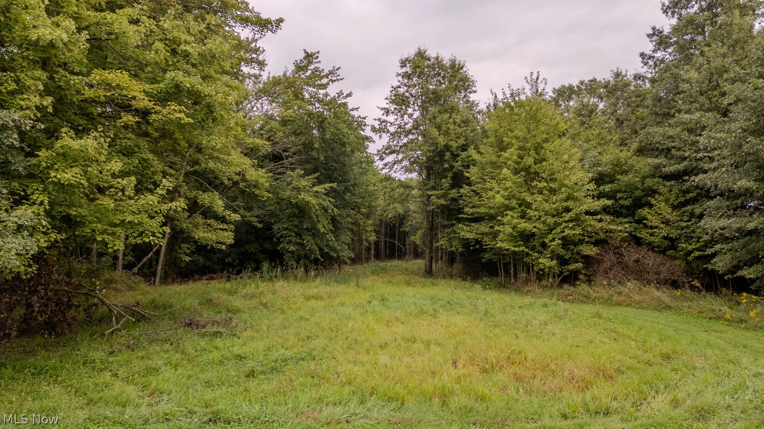 Vl 11.66 Acres Laubert Rd Lot 20lot 20 Atwater OH 44201