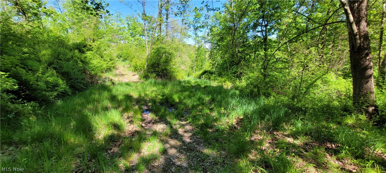 72577 Old Twenty-one Road Kimbolton OH 43749