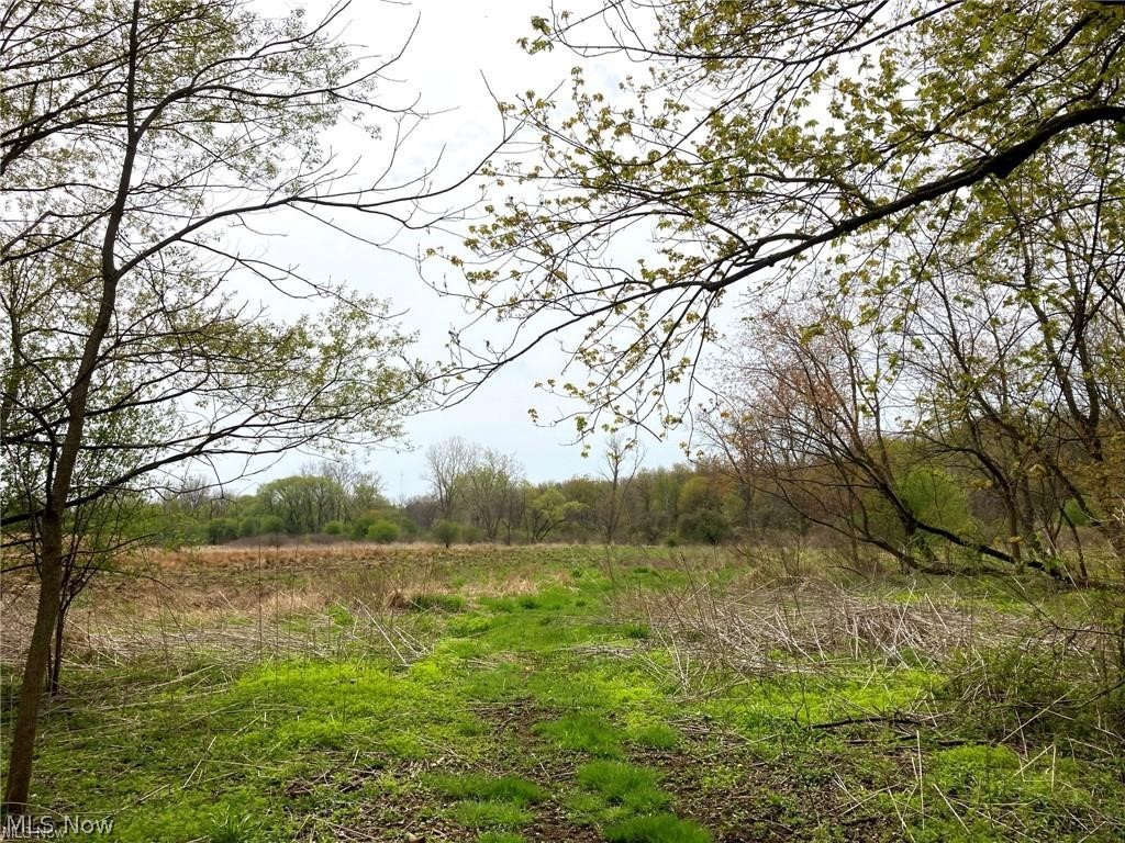 V/l Schocalog Road Copley OH 44320