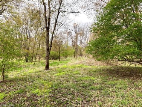 V/l Schocalog Road Copley OH 44320