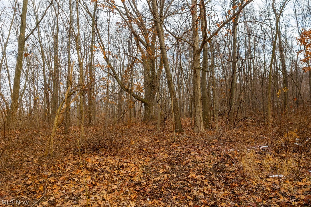 7389 Doylestown Road Sterling OH 44276