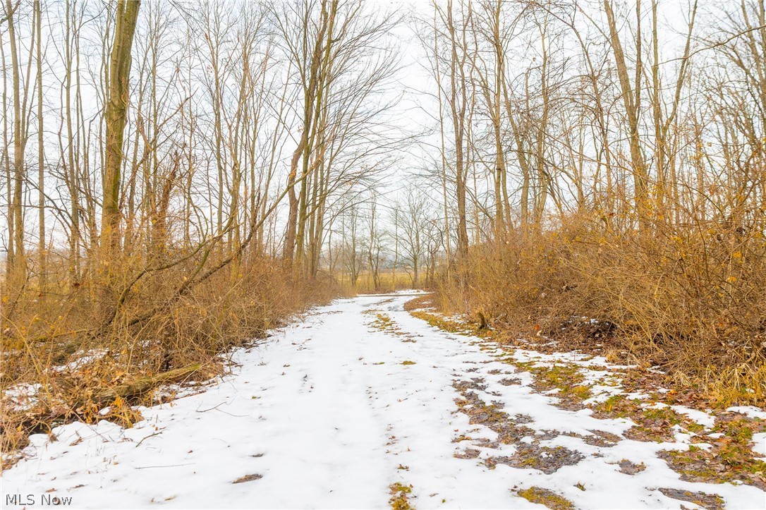 7389 Doylestown Road Sterling OH 44276