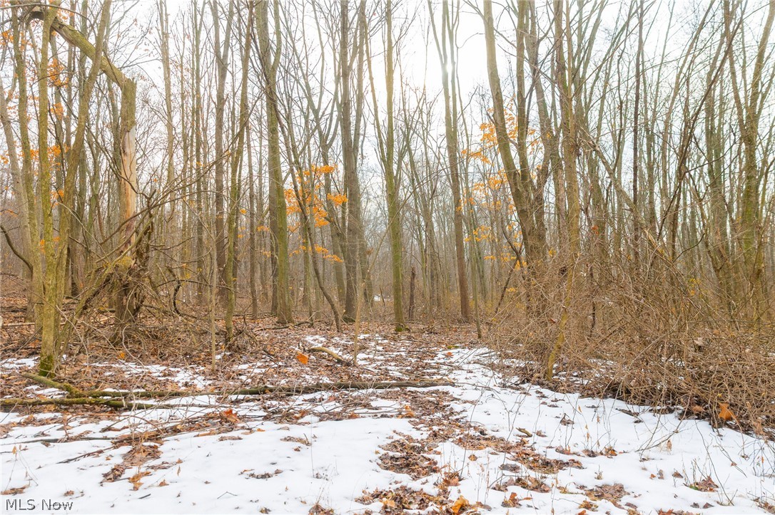 7389 Doylestown Road Sterling OH 44276