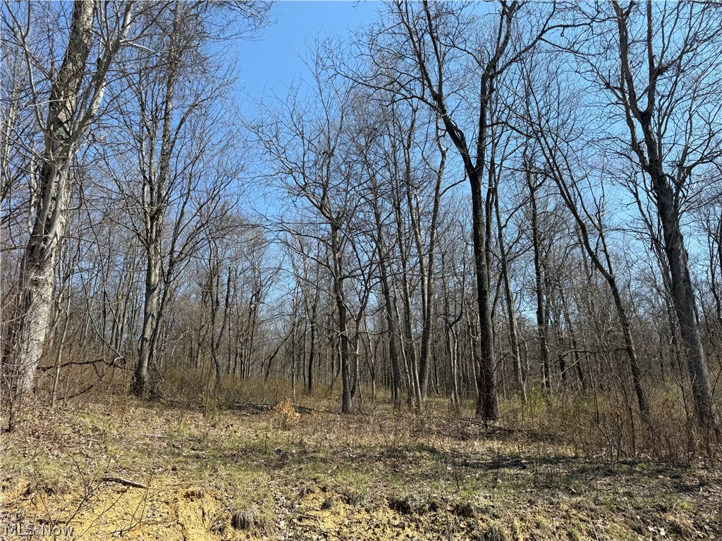 0 Kragel Road Wintersville OH 43953