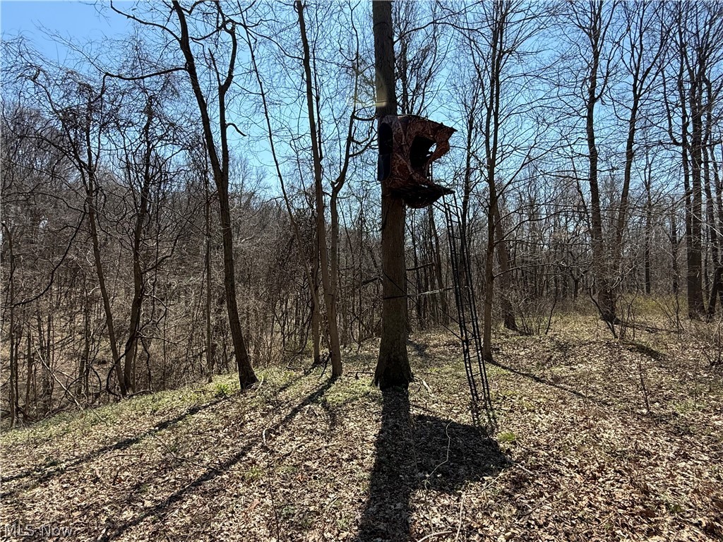 0 Kragel Road Wintersville OH 43953