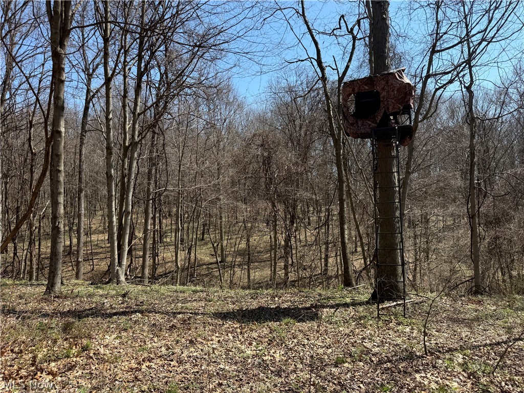 0 Kragel Road Wintersville OH 43953