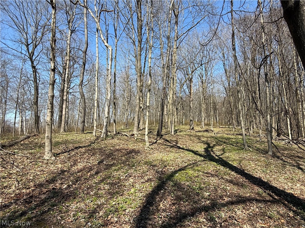 0 Kragel Road Wintersville OH 43953