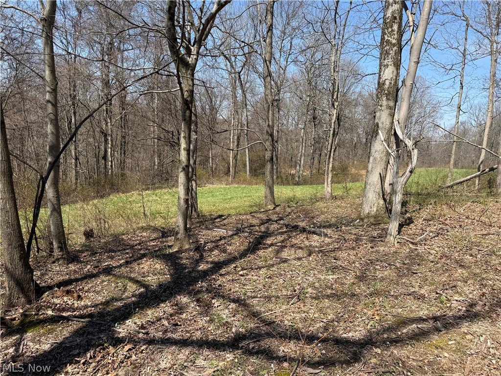 0 Kragel Road Wintersville OH 43953