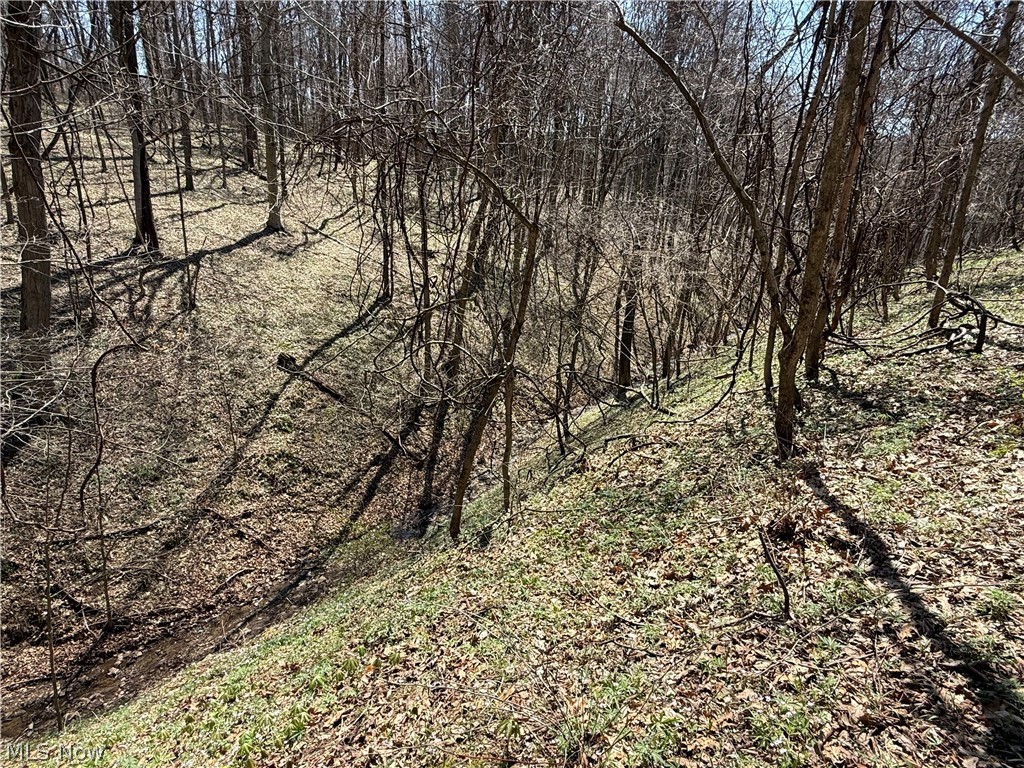 0 Kragel Road Wintersville OH 43953