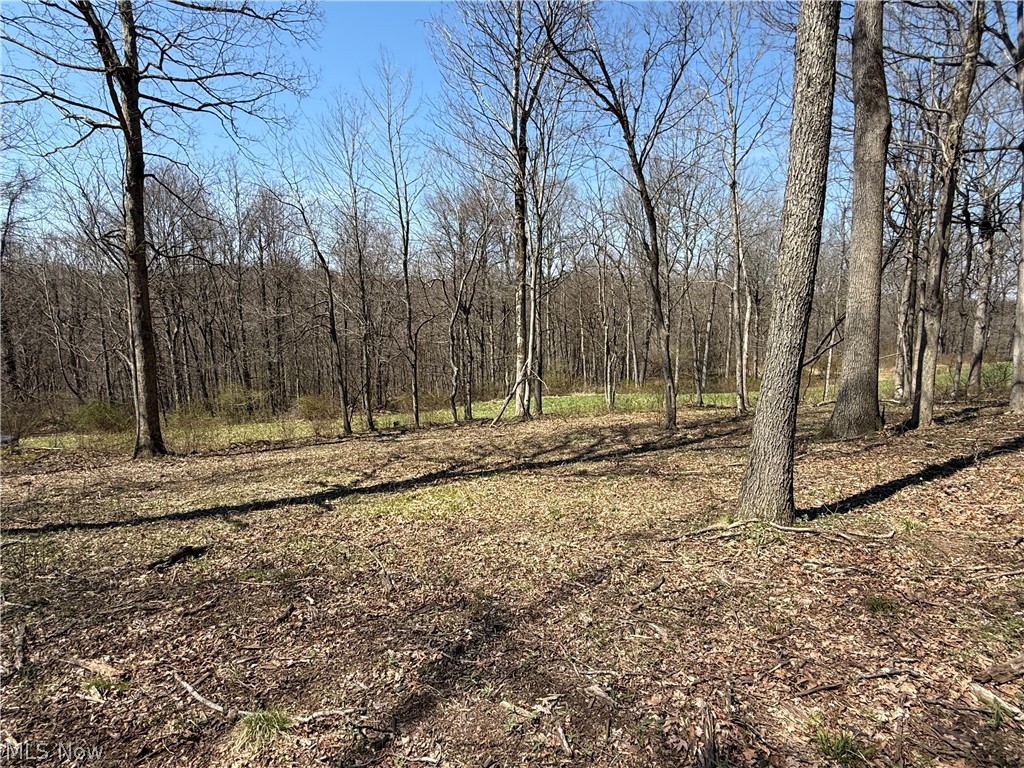 0 Kragel Road Wintersville OH 43953