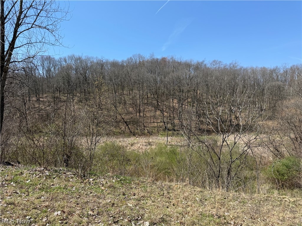 0 Kragel Road Wintersville OH 43953