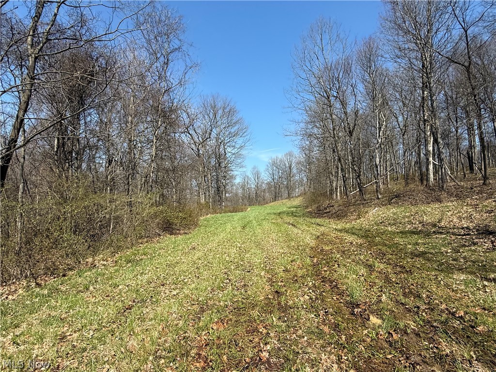 0 Kragel Road Wintersville OH 43953