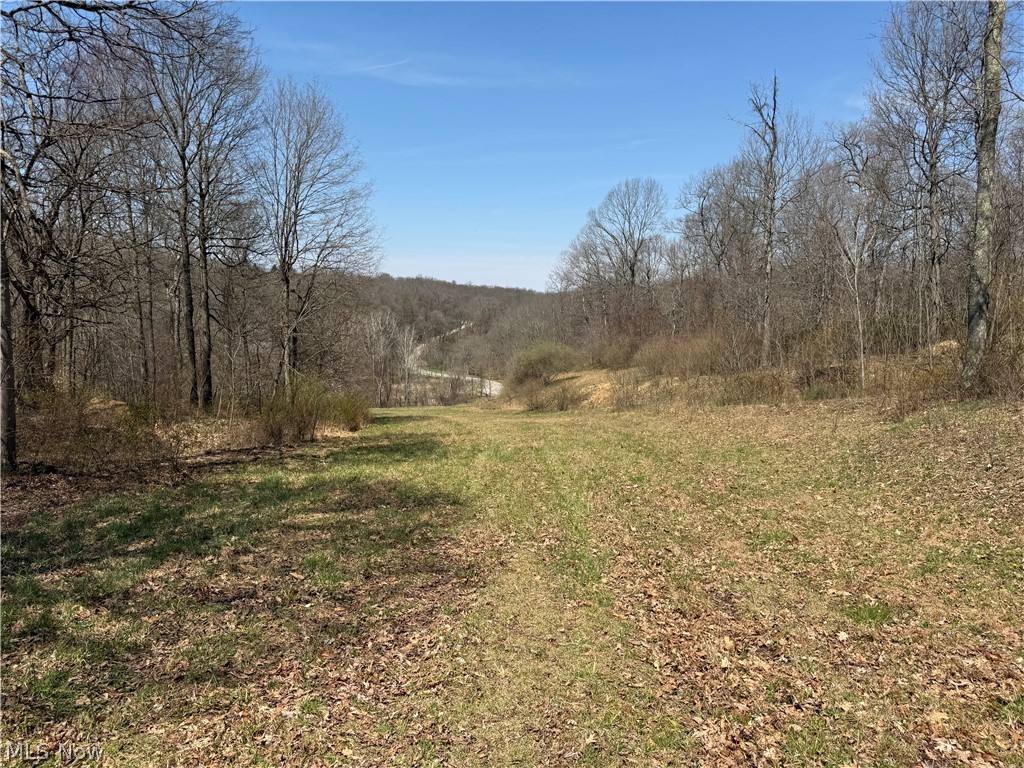 0 Kragel Road Wintersville OH 43953