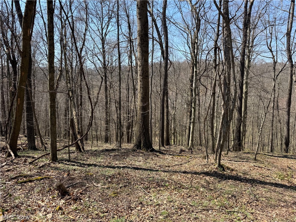 0 Kragel Road Wintersville OH 43953
