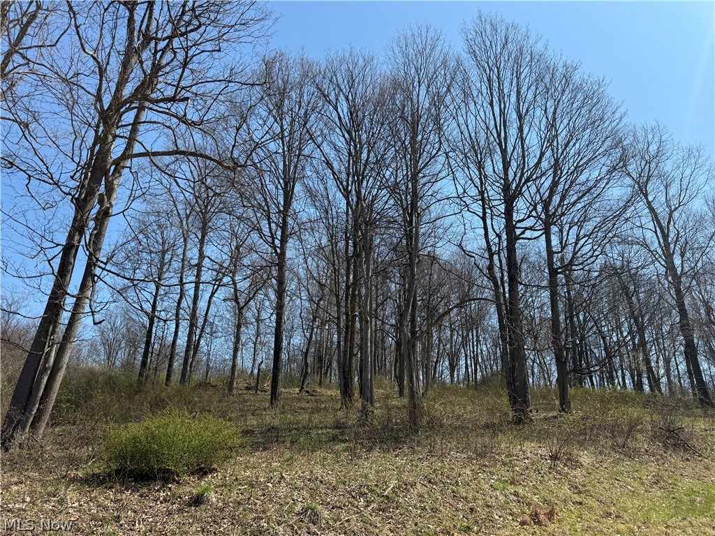 0 Kragel Road Wintersville OH 43953